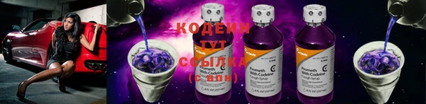 винт Алзамай