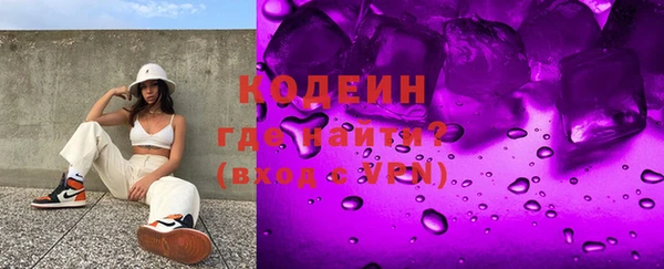 мет Алексин