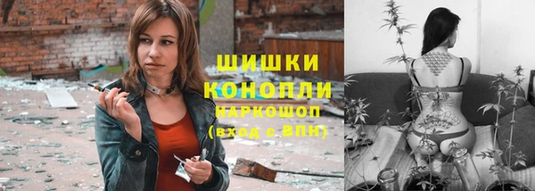 сатива Михайловка