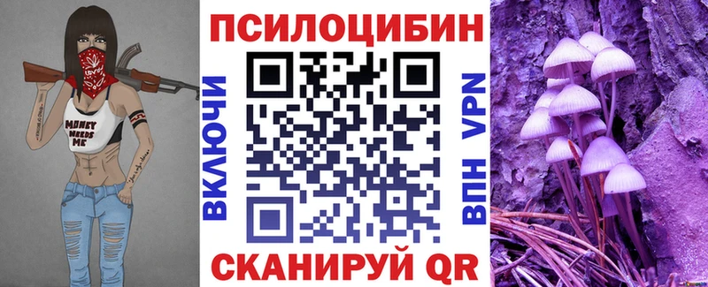 блэк спрут   Приволжский  Псилоцибиновые грибы Psilocybine cubensis 